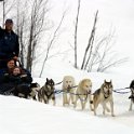 10 Dog sled Jill Kerry