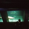 30 aquarium