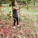 10.12 Nina apple picking