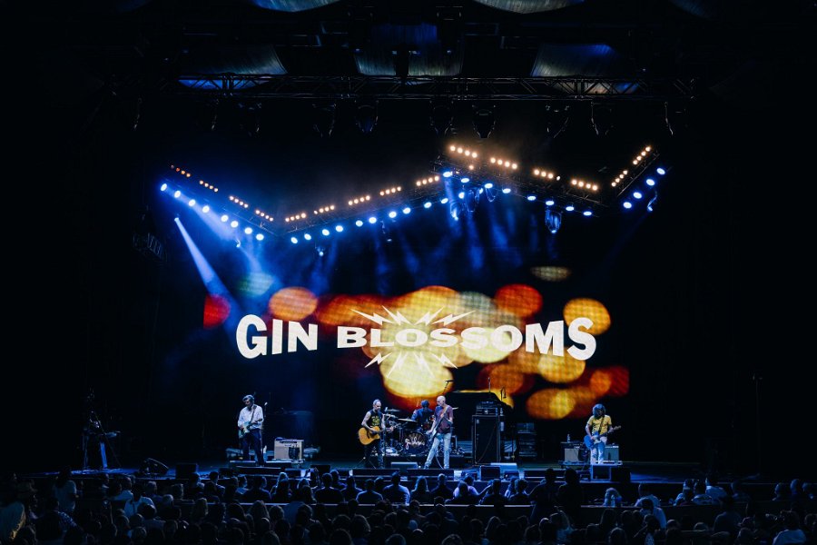 16 Gin Blossoms